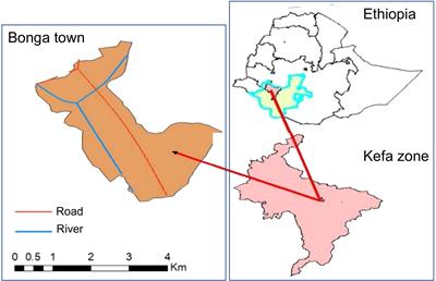 Low density Plasmodium infections and G6PD deficiency among malaria suspected febrile individuals in Ethiopia